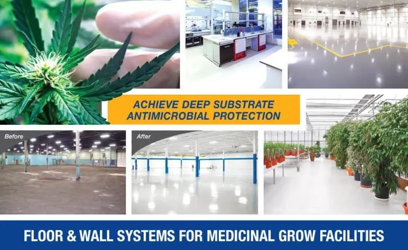MSC Floor & Wall System for medicinal grow facilities in Michigan & Ohio